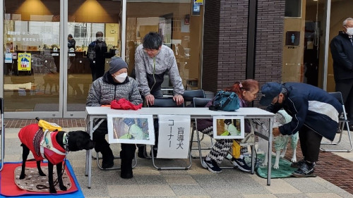 盲導犬紹介コーナーでPRするユーザーさんと2頭の盲導犬。職員も少しお手伝い。