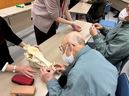 参加者がイノシシの骨を触って形を確認している様子。