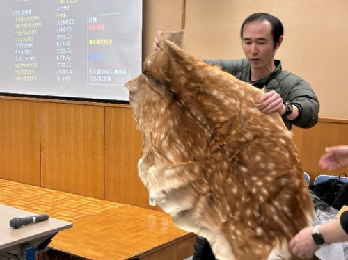 安藤先生が鹿の毛皮の説明をしている様子。